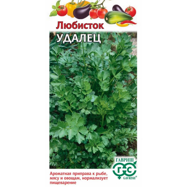 Любисток Гавриш 1 - купить по выгодным ценам в интернет-магазине OZON ...