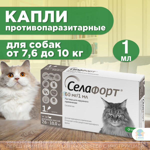 Селафорт отзывы для кошек