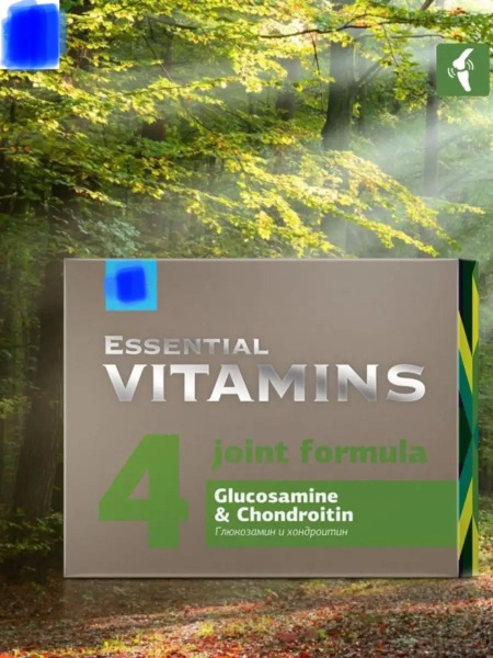Глюкозамин и хондроитин Essential Vitamins, для суставов, хрящей и ...