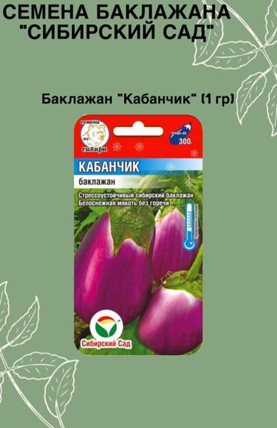 Баклажаны баклажан кабанчик - купить по выгодным ценам в интернет ...
