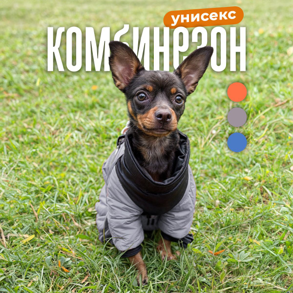 Одежда для собак мелких, средних пород, комбинезон MiloPets, размер L ...
