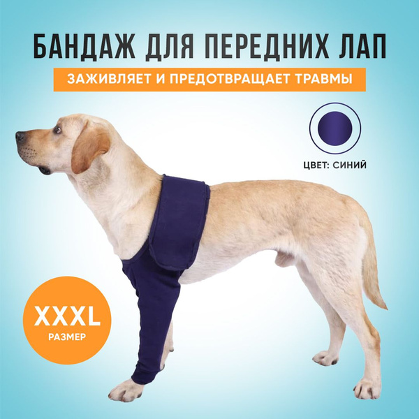 Бандаж для собак на переднюю лапу. Налокотники, XXXL купить на OZON по ...