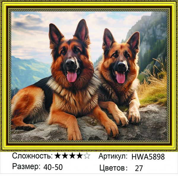 Алмазная мозаика 40х50см на подрамнике. Немецкие овчарки. Собаки ...