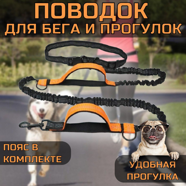 Эластичный поводок для бега и прогулок с собакой, с амортизаторами ...