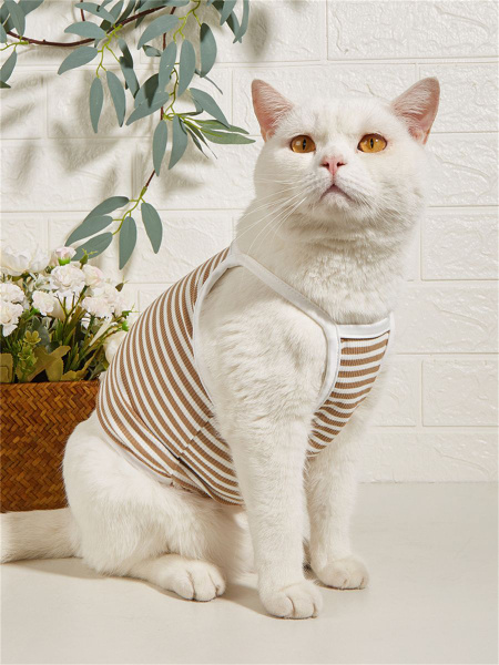 Майка для собак и кошек мелких и средние пород/полосатый топ на ...