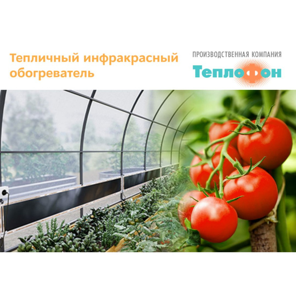 Обогреватель Теплофон тепличный купить по выгодной цене в интернет ...