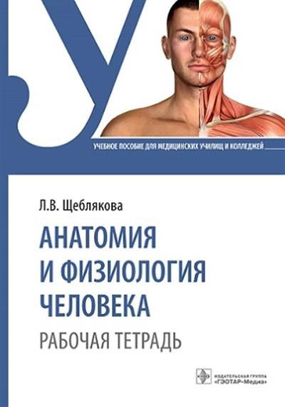 Анатомия и физиология человека. Рабочая тетрадь - купить с доставкой по ...