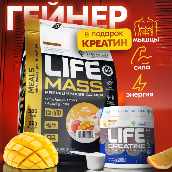 Комплекс Гейнер Tree of life Mass GAINER 6LB вкус Манго + Креатин ...