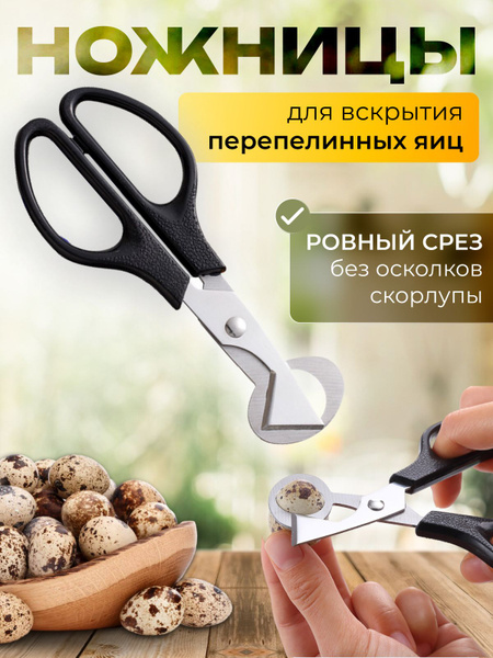 Ножницы для перепелиных яиц из нержавеющей стали - купить с доставкой ...