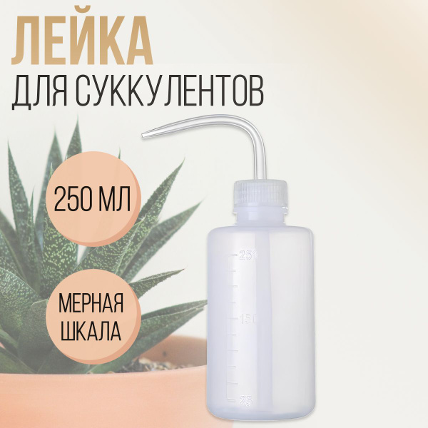 Вопросы и ответы о Лейка для суккулентов и комнатных растений, бутылка ...