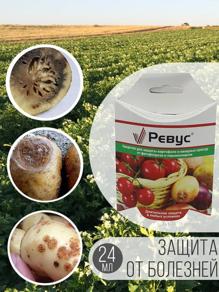 Средство защиты растений от болезней картофеля и др. овощных культур ...