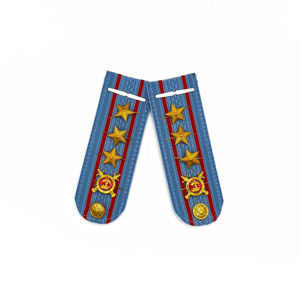 Погоны МВД голубые с петлицей пластиковые - купить с доставкой по ...