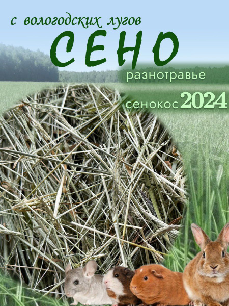 Сено Луговое 1 кг. - купить с доставкой по выгодным ценам в интернет ...