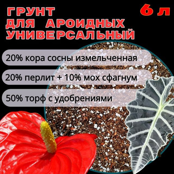 Грунт для ароидных, рыхлый универсальный грунт для комнатных растений ...