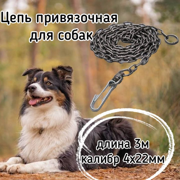 Цепь для собак привязочная 4х22мм 3м - купить с доставкой по выгодным ...