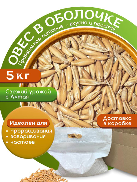Овес неочищенный в оболочке для заваривания и настоя 5 кг, семена для ...