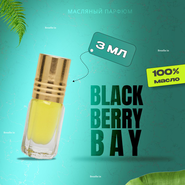 Духи масляные Blackberry Bay, объем 3 мл - купить с доставкой по ...