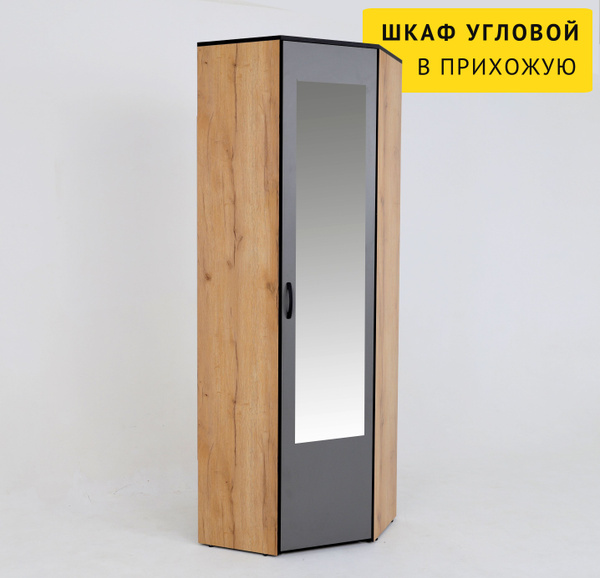 Шкаф распашной ИВАРУ Шкаф угловой в прихожую Ольга-Лофт, 66x66x200 см ...