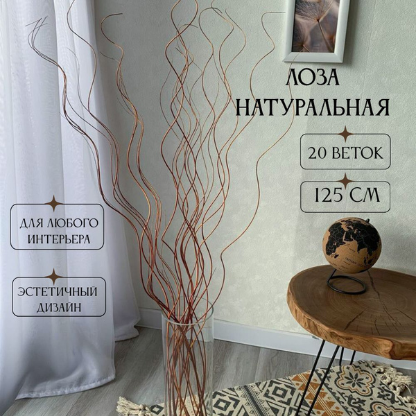 Лоза натуральная букет 20 штук высота 125 см коричневые сухоцветы ...