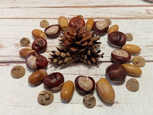 Счастливый амулет-навигатор: как читать его знаки и изменить судьбу