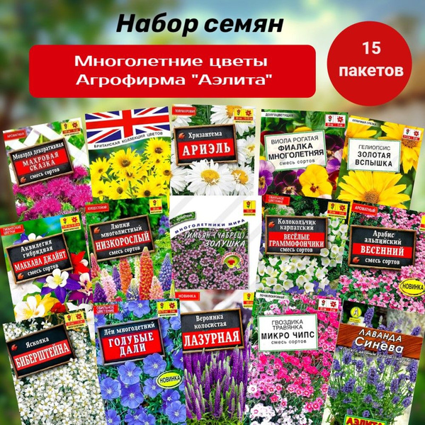 Люпин, Люпины многолетние Аэлита Цветы - купить по выгодным ценам в ...