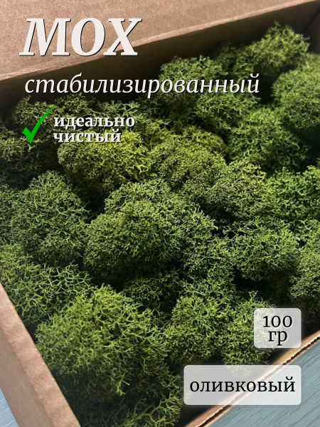 Стабилизированный мох SPECIALGREEN Мох, 100 гр, 100 шт купить по ...