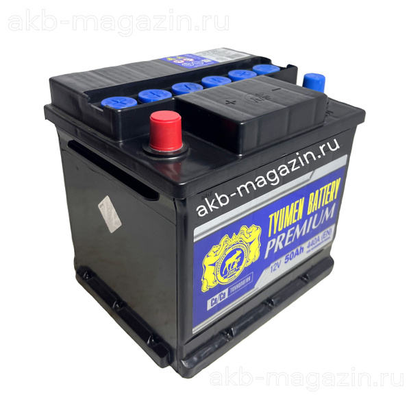 Аккумулятор автомобильный Tyumen Battery Premium 50. 1 купить по ...