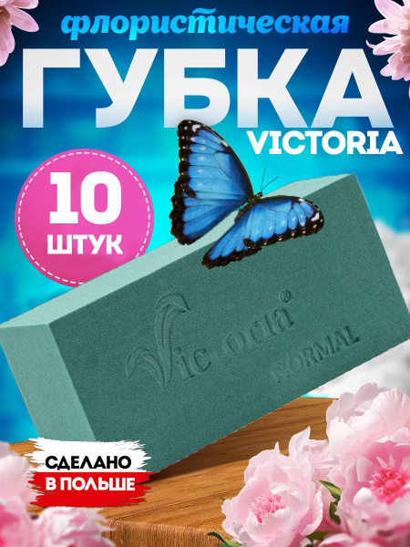 Флористическая губка Victoria, 10 шт купить на OZON по низкой цене ...