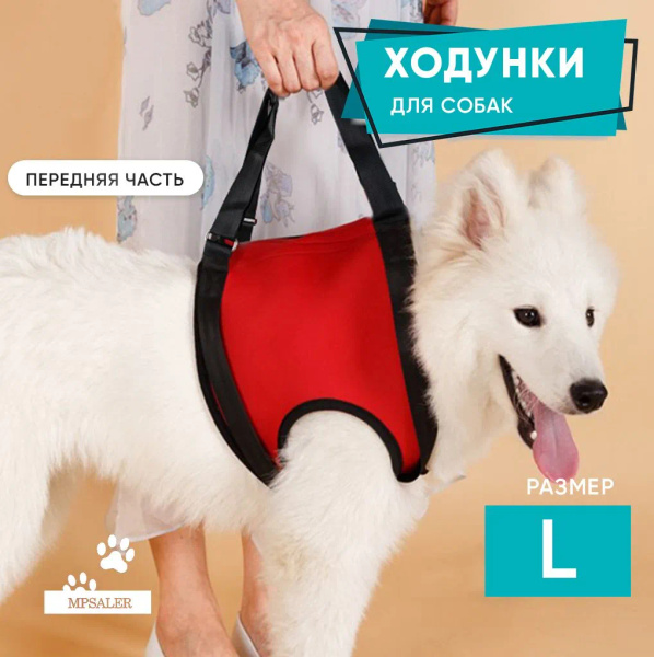 Ходунки для собак. Передняя часть, размер L. купить на OZON по низкой ...