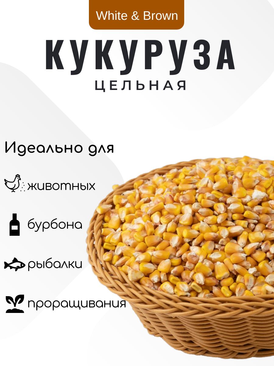 Дробленая кукуруза для кур. Зоомир 400 г кукуруза. Кукуруза корм для птиц. Зоомир корм кукуруза для птиц и грызунов. Кукуруза корм для птиц.