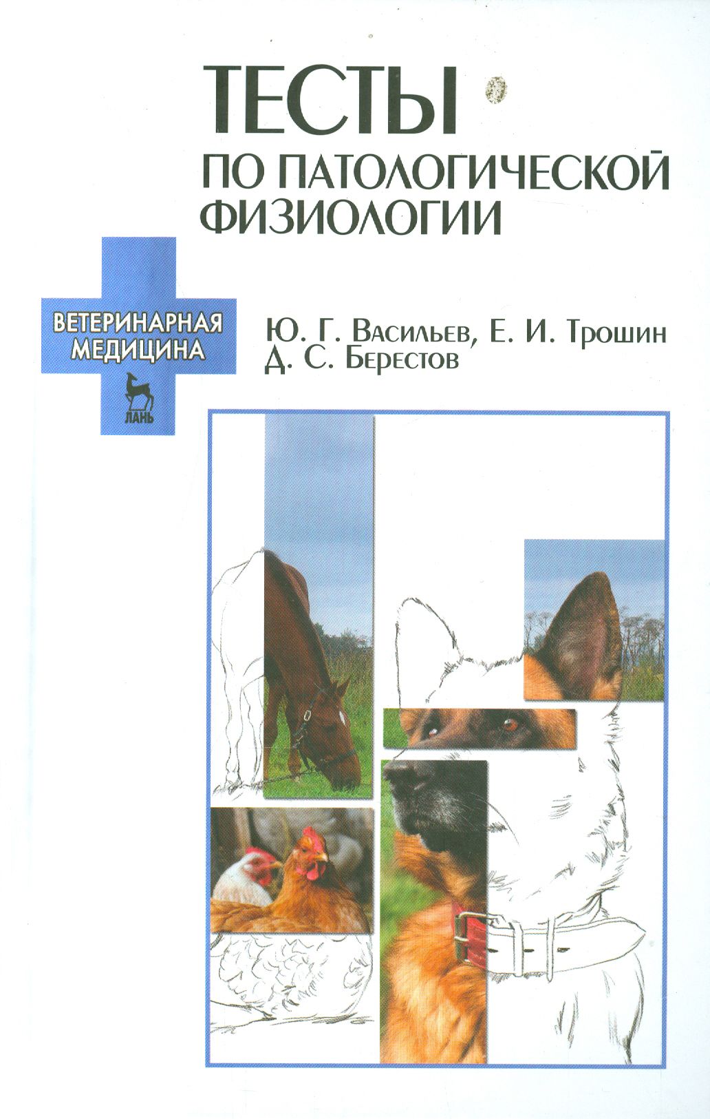 Тесты по патологической физиологии. Учебно-методическое пособие | Васильев Юрий Геннадьевич, Берестов Дмитрий Сергеевич