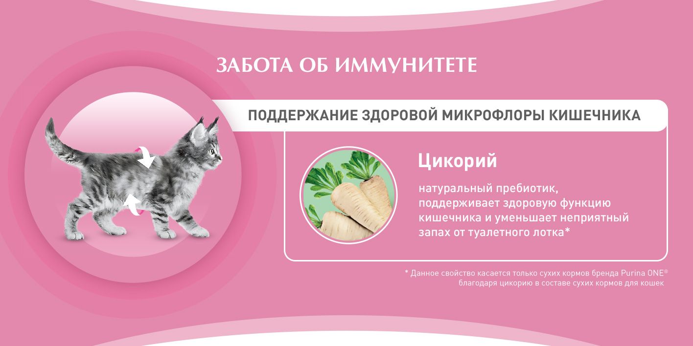 Влажный корм для котят Purina ONE, в соусе с курицей и морковью, 75 г(图3)