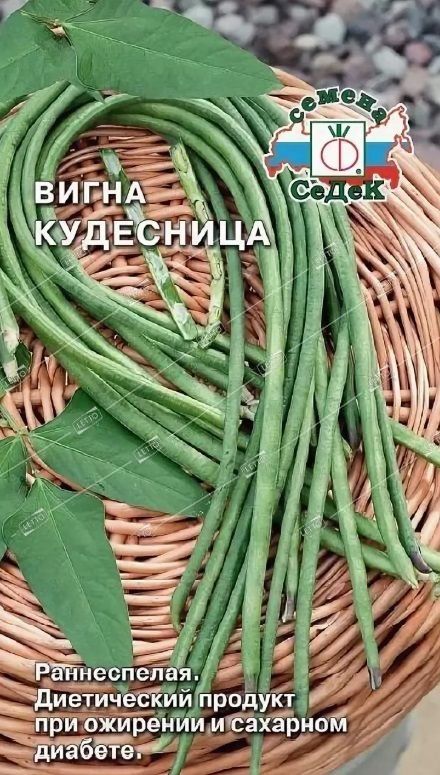 Вигна Купить Семена В Спб