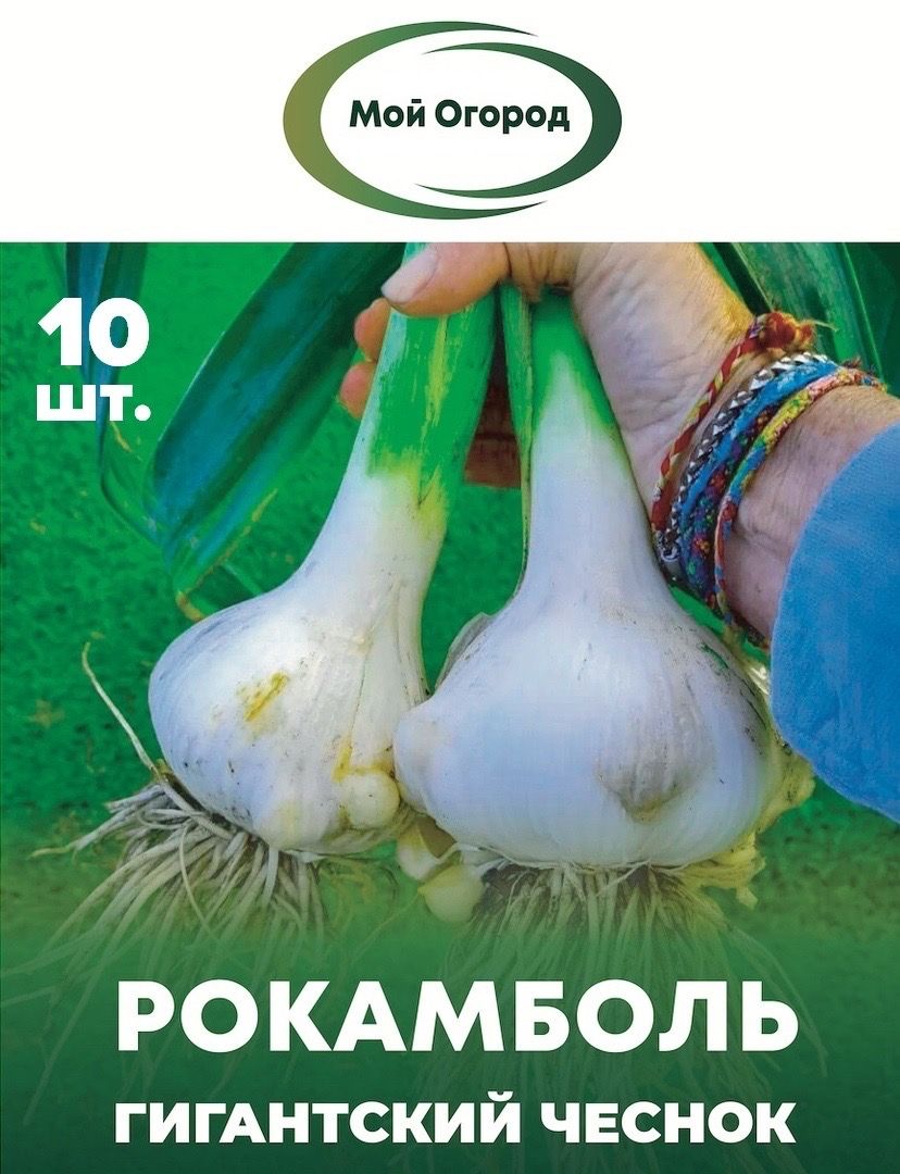 Чеснок, Лук Мой Огород Рокамболь_Рокамболь 10 шт - купить по выгодным ценам  в интернет-магазине OZON (1419311095)