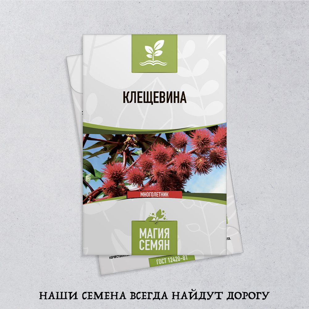 Семена Клещевины - купить по выгодной цене в интернет-магазине OZON