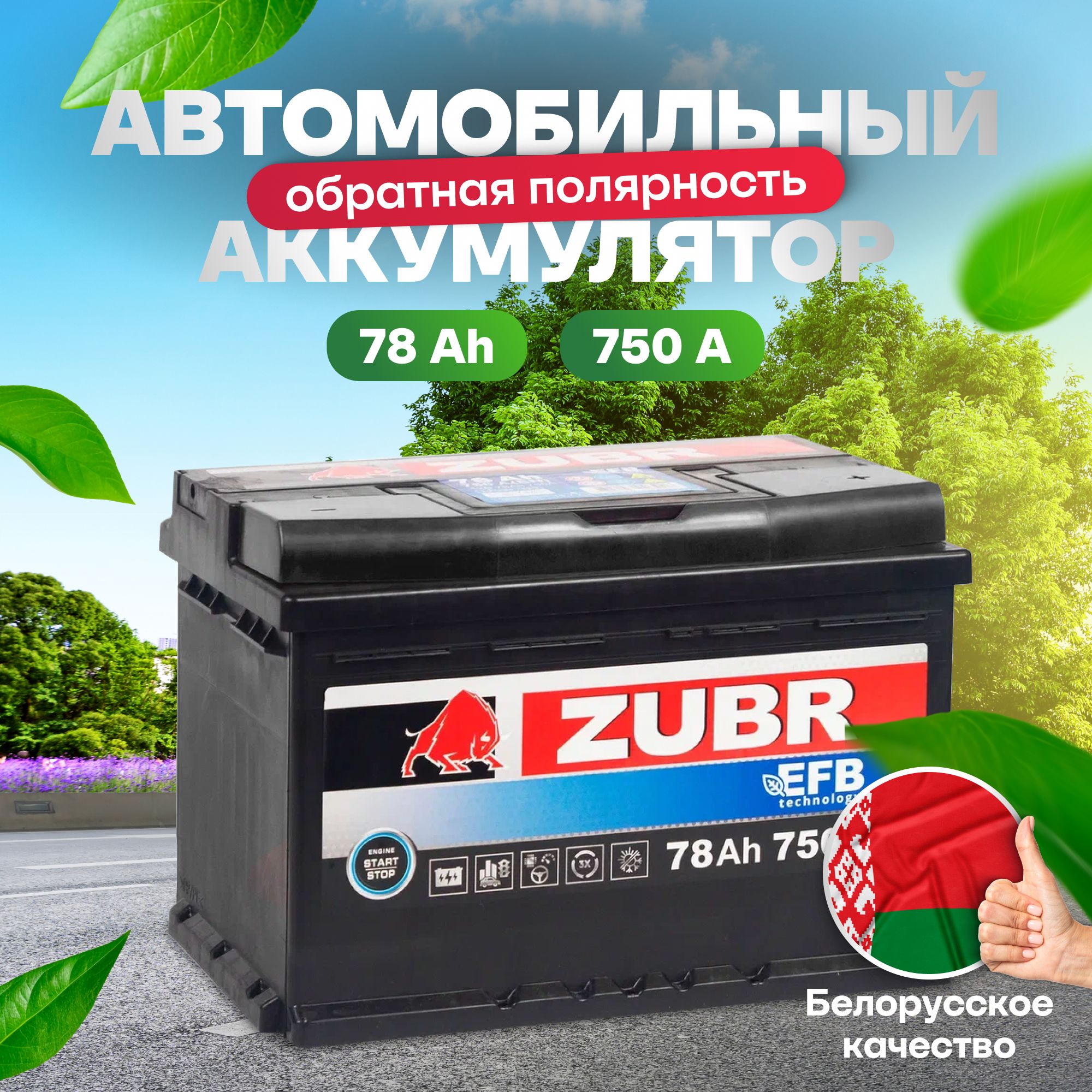 Аккумуляторавтомобильный12v78AhZUBREFB78Ач750Аобратнаяполярность278x175x190стартерныйакбдляавтомобиля,машины