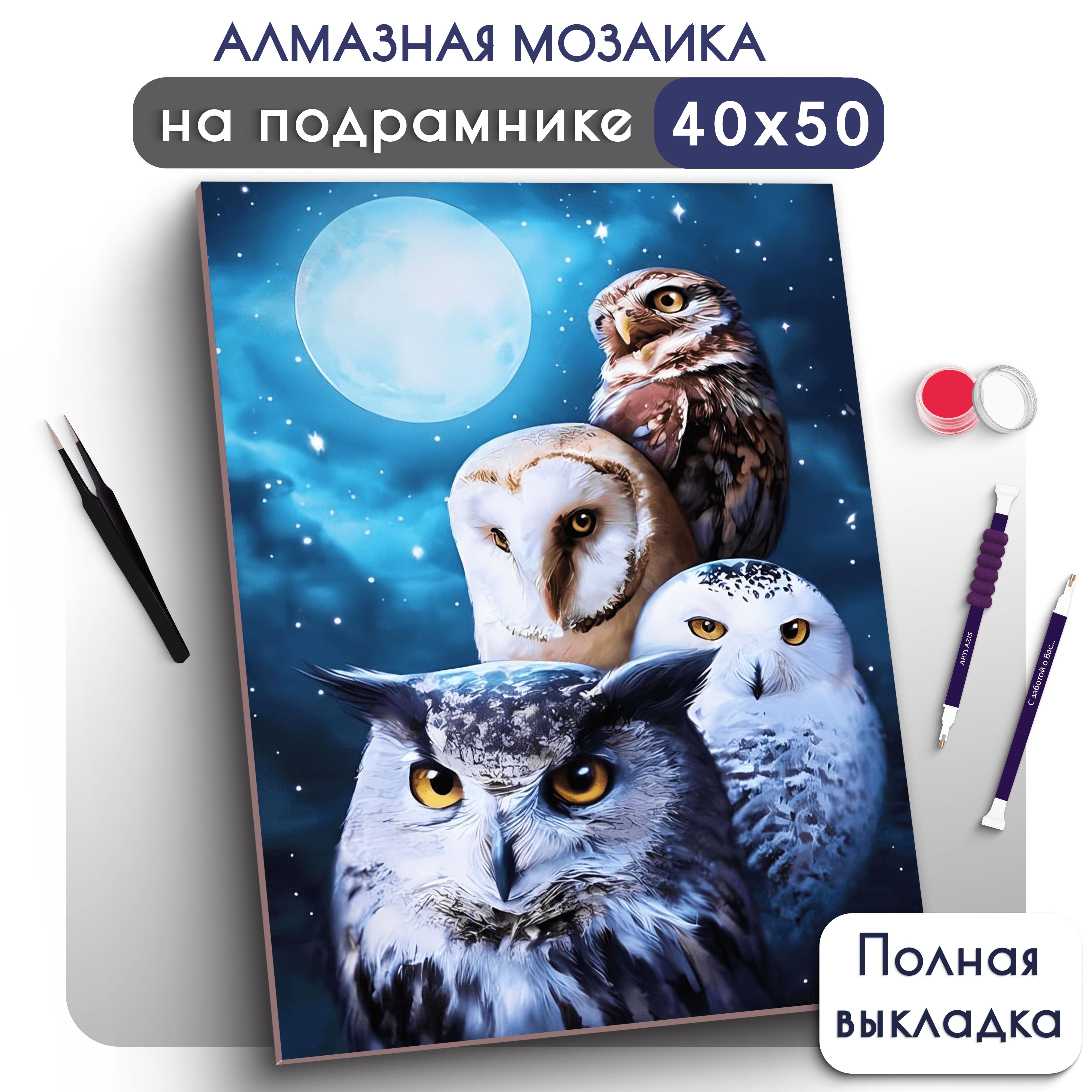 Алмазная мозаика на подрамнике 40х50 Вышивка Живопись Совы купить на OZON по низкой цене (968322521)