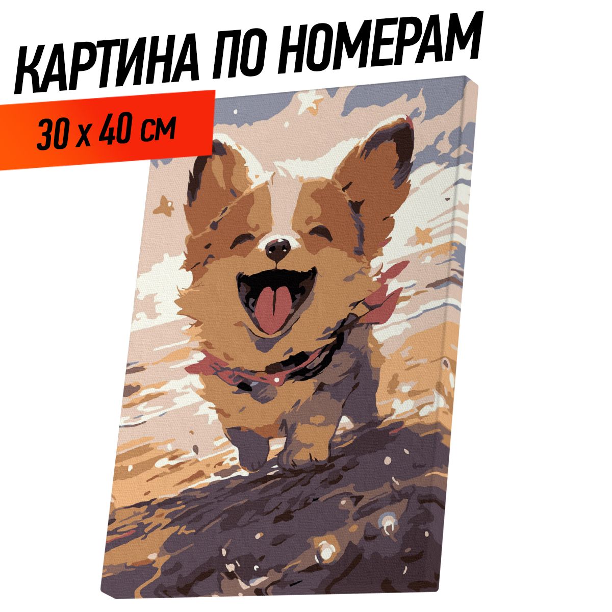 Картина по номерам детская Щенок 30х40 см, корги