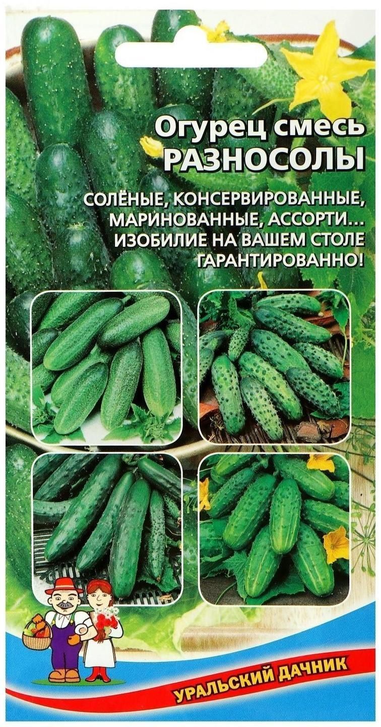 Семена Огурцы Уральский Дачник Купить