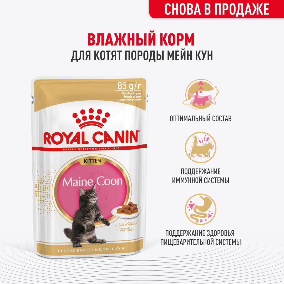 Влажный корм для котят Royal Canin Kitten в соусе для породы мейн кун 85 г х 28 шт