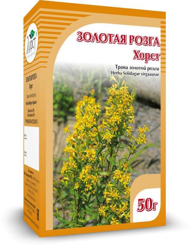 Золотарник семена. Золотарник сушеный. Золотарник препараты. Золотарник аптека. Травяной сбор с золотарником.