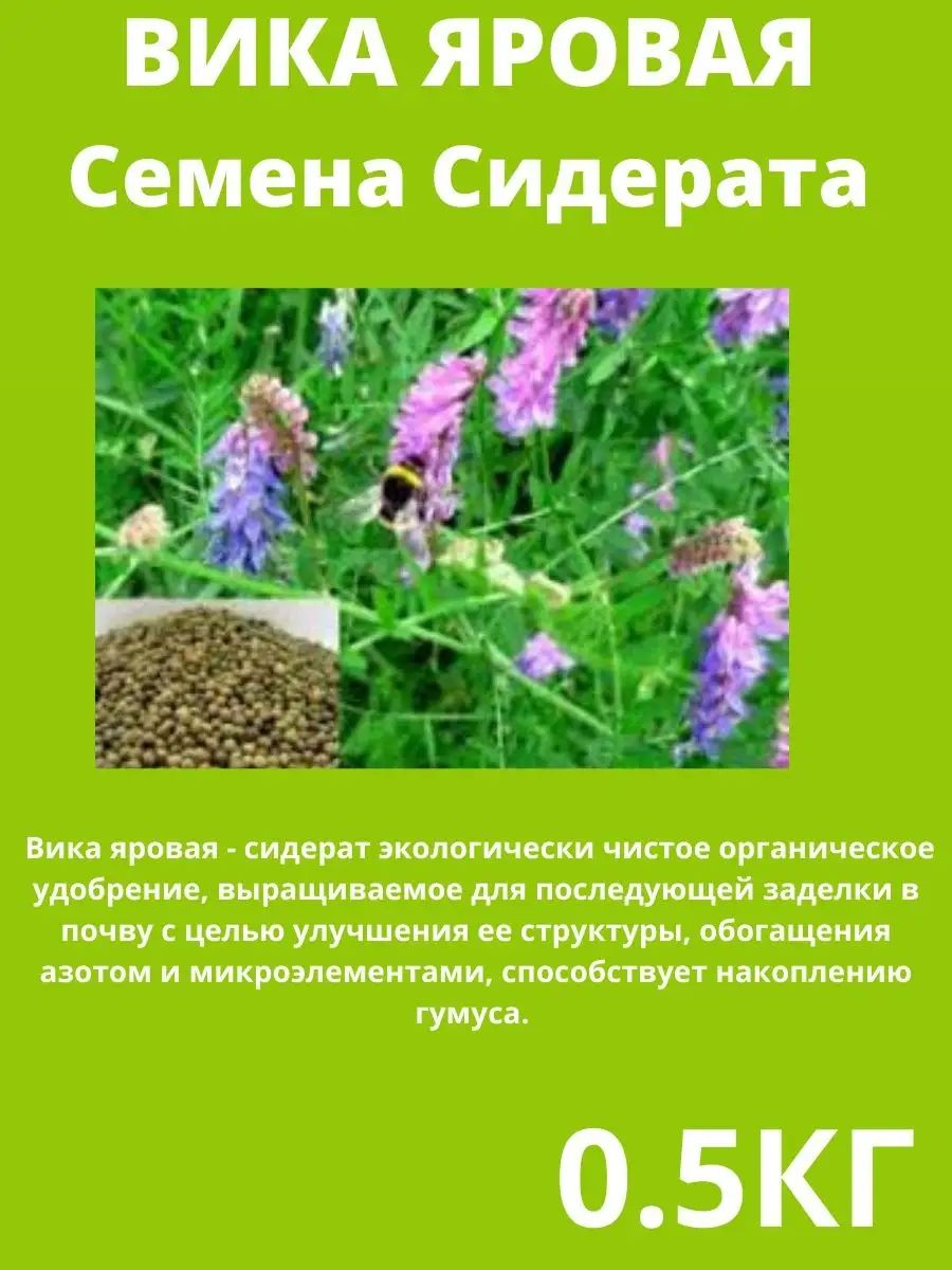 Купить Семена Вики Яровой В Алтайском Крае
