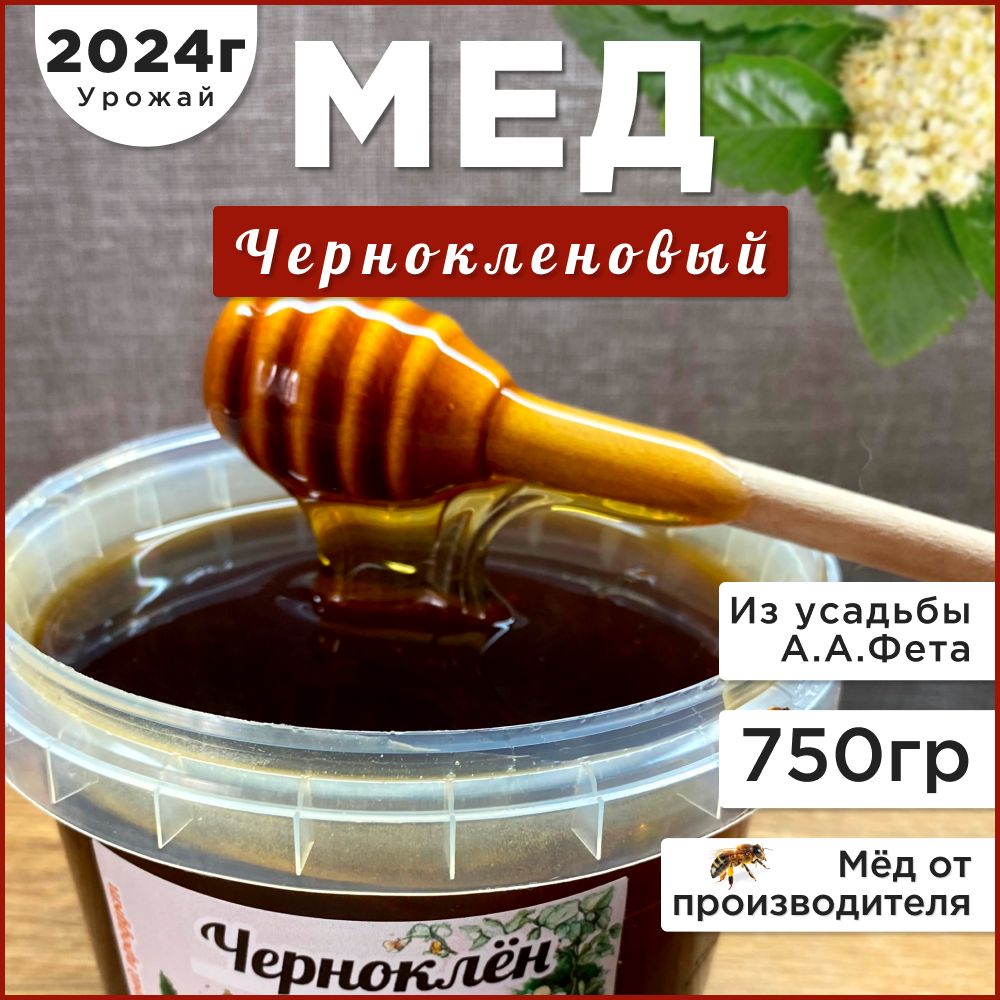 Медчерноклен750грамм2024г