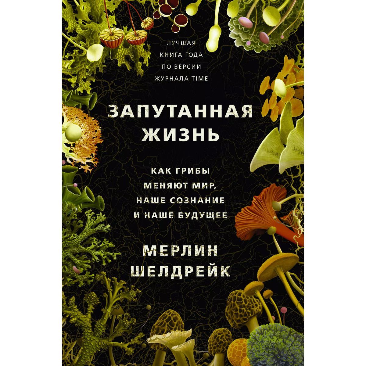 Мерлин Шелдрейк: Запутанная жизнь. Как грибы меняют мир, наше сознание и наше будущее | Шелдрейк Мерлин