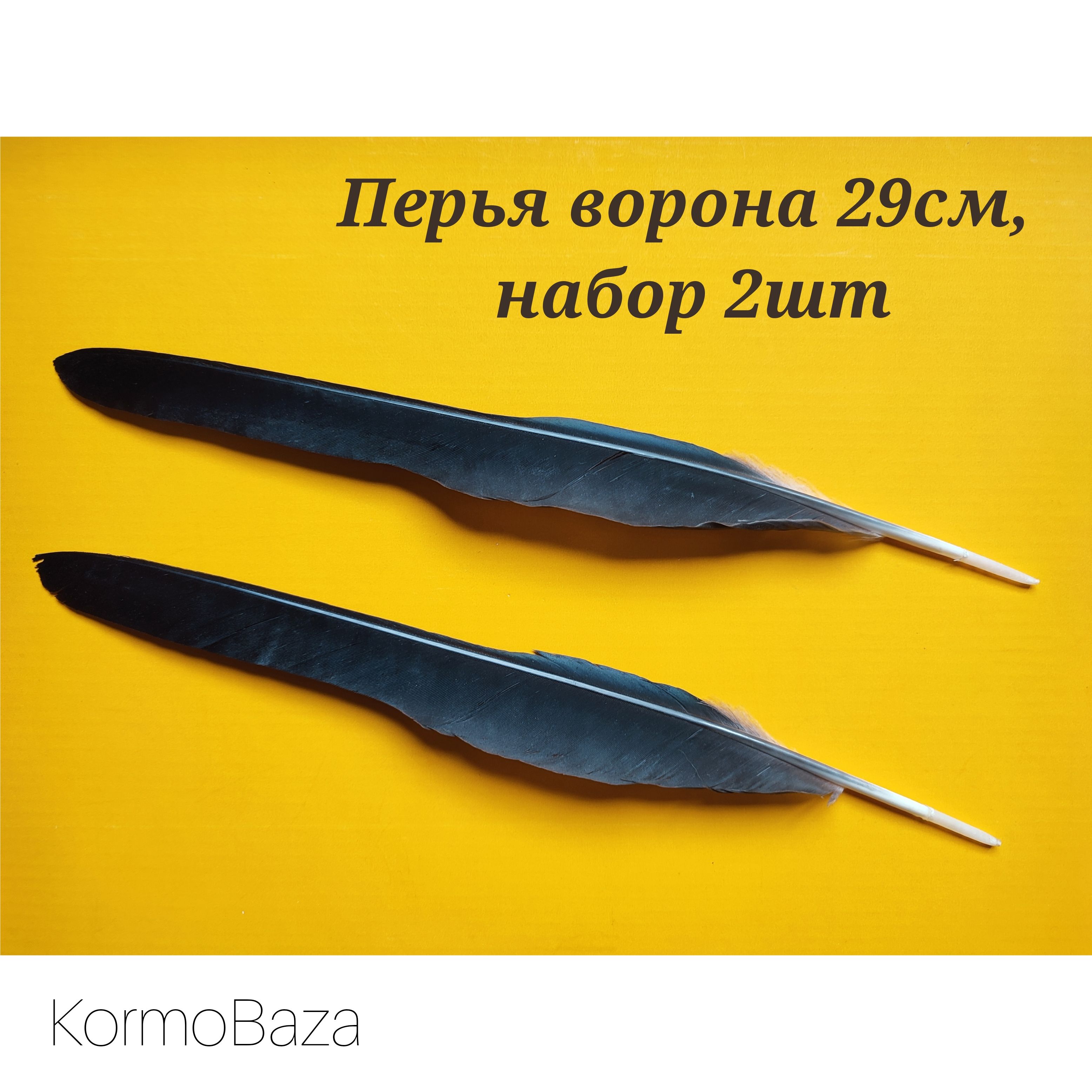 Перо ворона