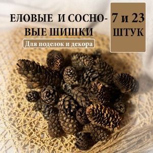 7 еловых и 23 сосновых шишек - для праздничного декора и творчества