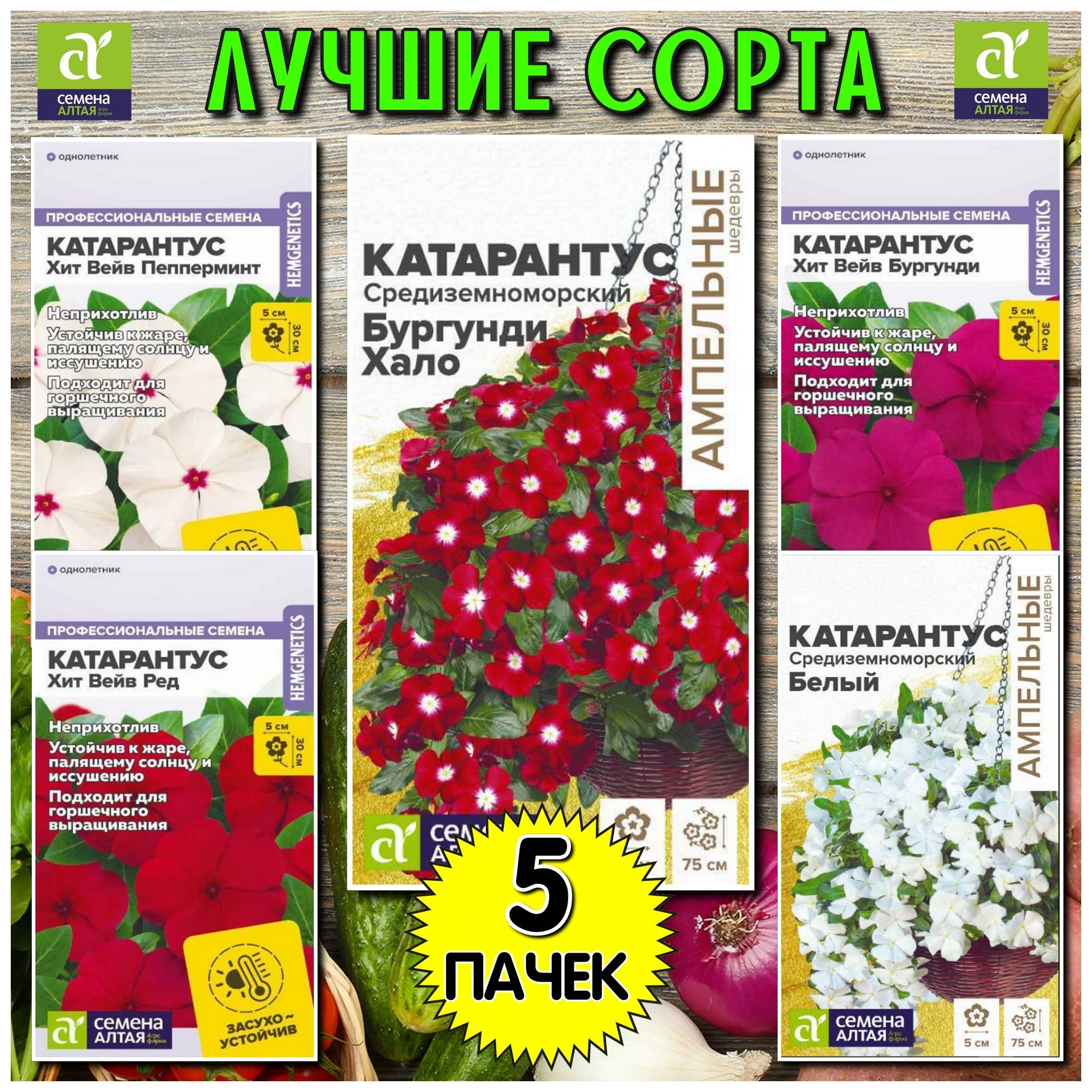 Катарантус ампельный + кустарниковый 5 в 1