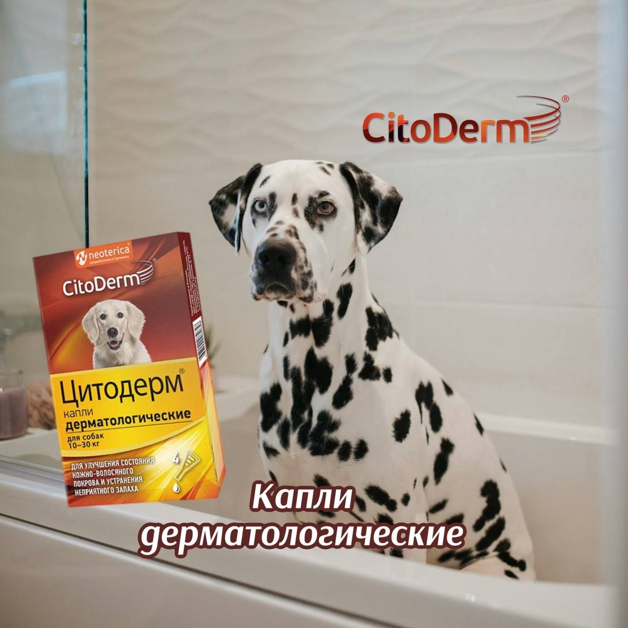 CitoDerm капли дерматологические для собак 10-30 кг, 4 пипетки