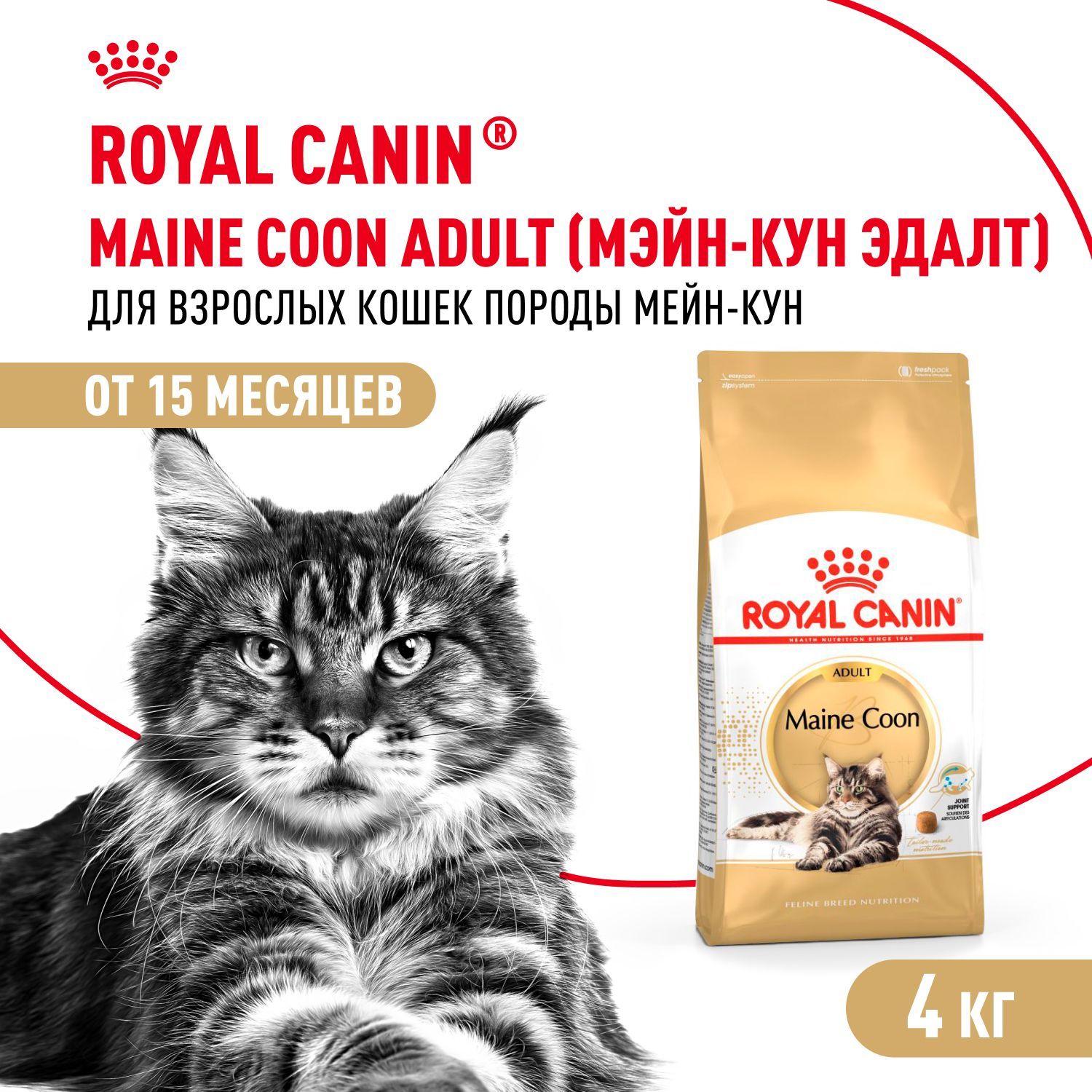 Сухой корм для кошек Royal Canin Adult породы мейн кун, 4 кг