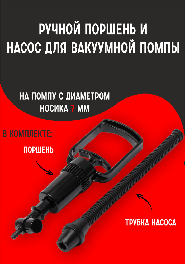 ���������� �������: ����.